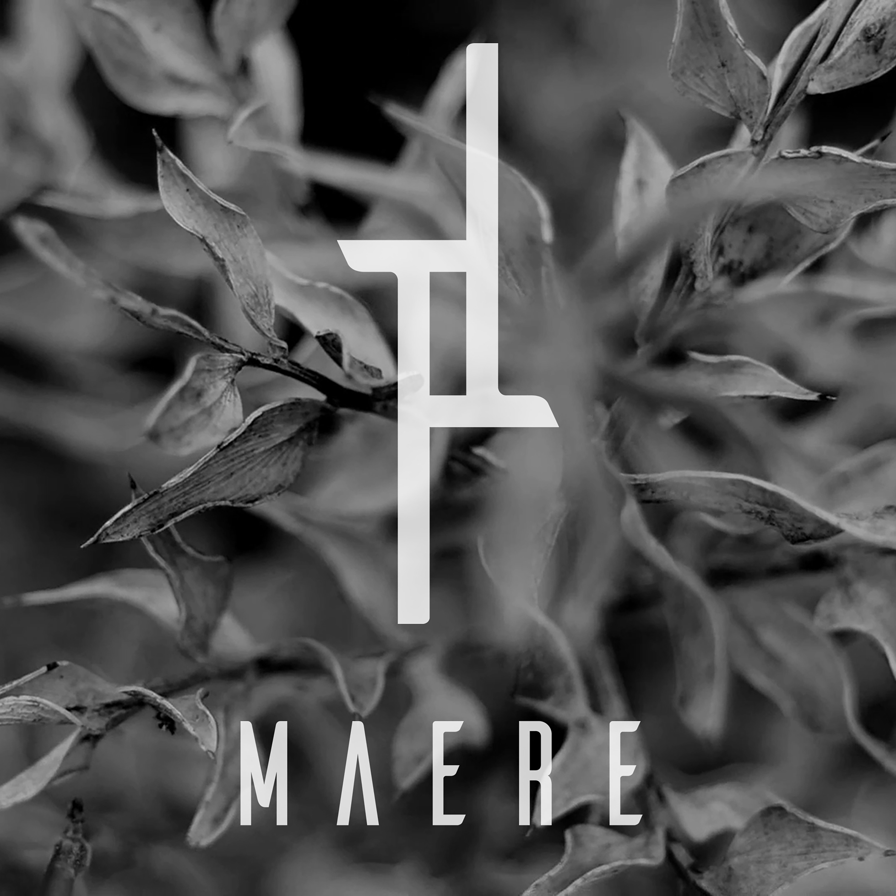 Maere - Single