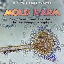 It's Your Fault Theater - Expulsion of Slime Mold