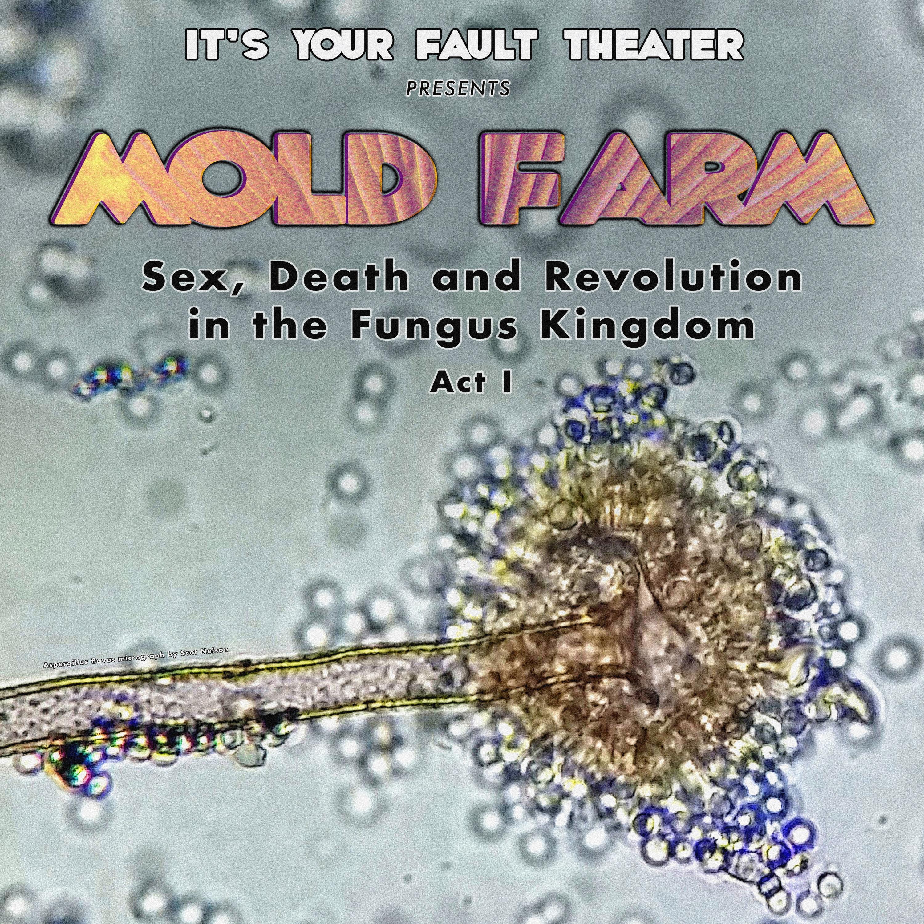 Mold Farm: Sex, Death and Revolution in the Fungus Kingdom (Original Broadway Cast Recording) Act I