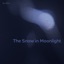 The Snow in Moonlight - Single