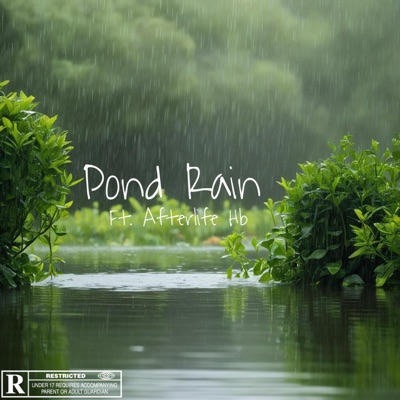 Pond Rain (feat. Afterlife Hb) - Single