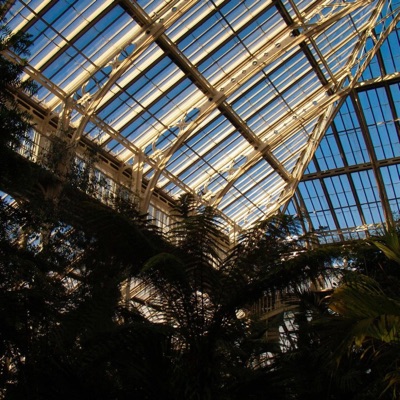 What about tomorrow? - Single