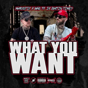 What You Want - Single