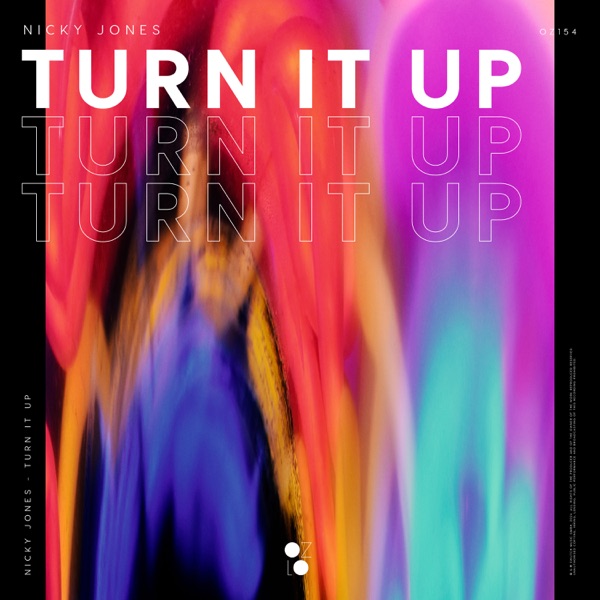 Turn It Up - Single