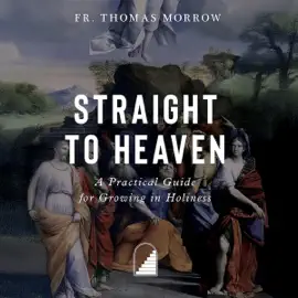 Straight to Heaven: A Practical Guide for Growing in Holiness (Unabridged)
