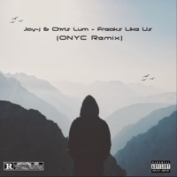 Freaks Like Us (feat. Jay-j & Chris Lum) [ONYC Remix] - Single - Onyc