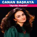 Ayrılık Hasreti