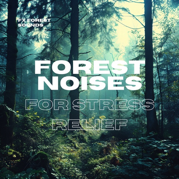 Forest Noises for Stress Relief