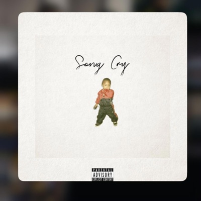 Song Cry - Single