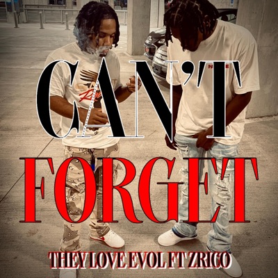 CAN'T FORGET (feat. ZRico) - Single