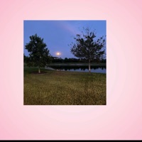 Wishing You Was Home (feat. B Brizzy) - Single - W1kcollector