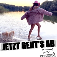 Jetzt geht's ab - Single - DJ Hundefriedhof