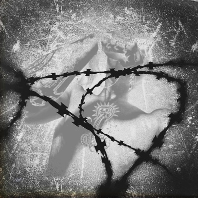 Visitation at the jail - Single