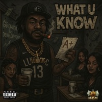What U Know - Single - Lunatic Malik