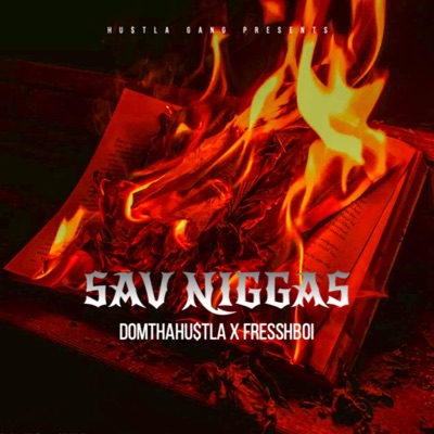 SAV NIGGAS (feat. fresshboi) - Single