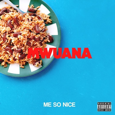 Me so Nice - Single