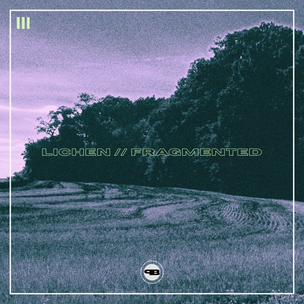lichen // fragmented - Single