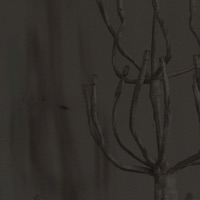 intentions - Single - RipThePetals