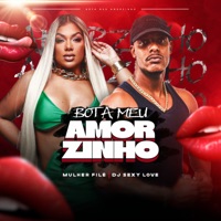 Bota Meu Amorzinho - Single - DJ Sexy Love & Mulher Filé