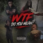 Wtf Do You Mean? - Single