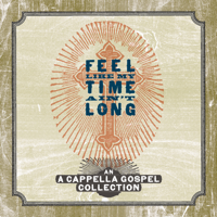 I'll Meet You In The Morning - Appalachian Express Cover Art