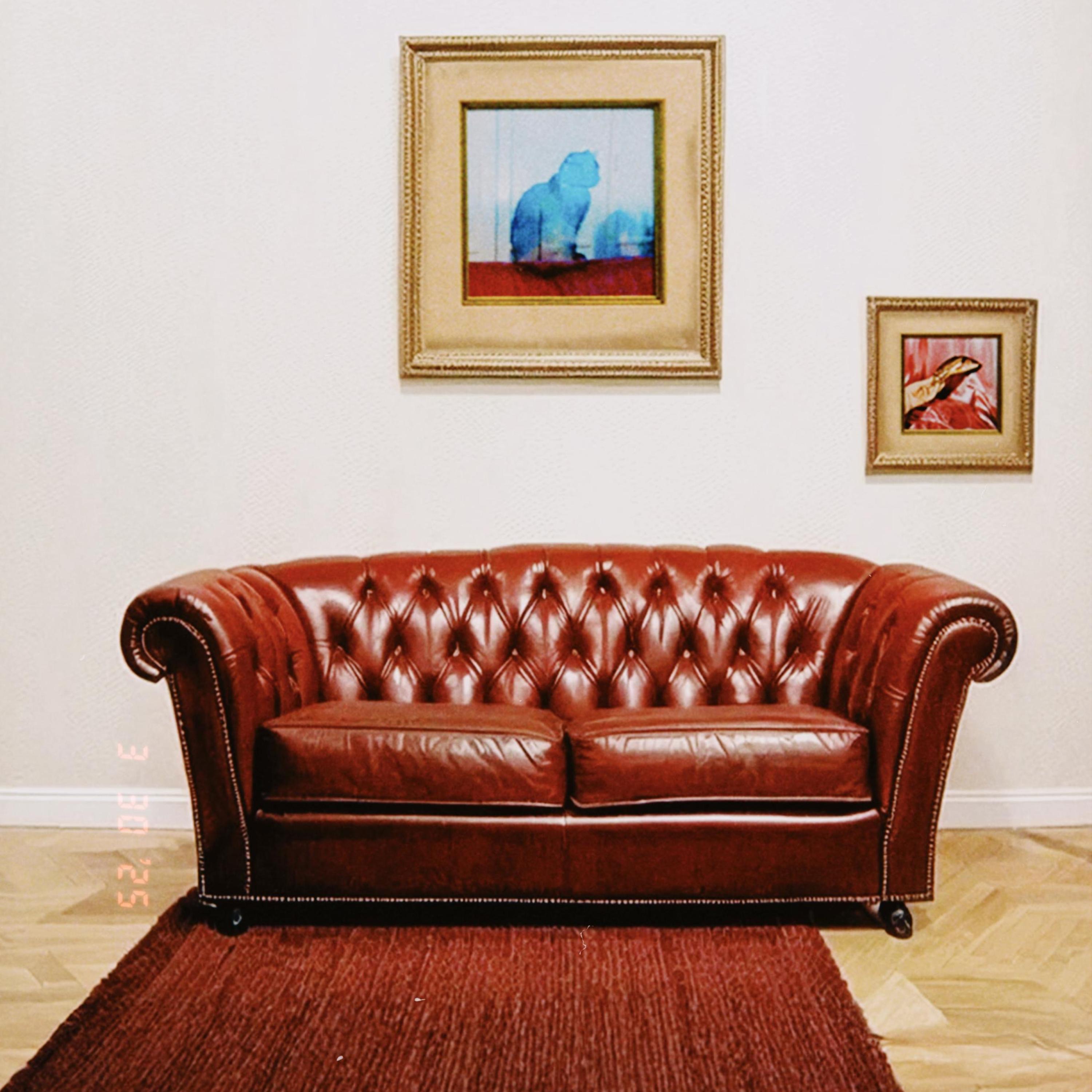 grumpy cat on a crimson red leather couch - Single