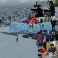 Arrogancia