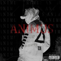 Animus - Single - SENZORITY