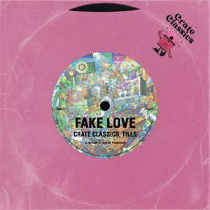 Fake Love - Single