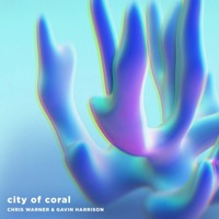 City Of Coral (feat. Sarah Ozelle) - Single - Chris Warner & Gavin Harrison