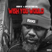 Wish You Would - Single - Reks & Myster DL