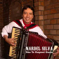 Não Te Esqueci Guria — Nardel Silva