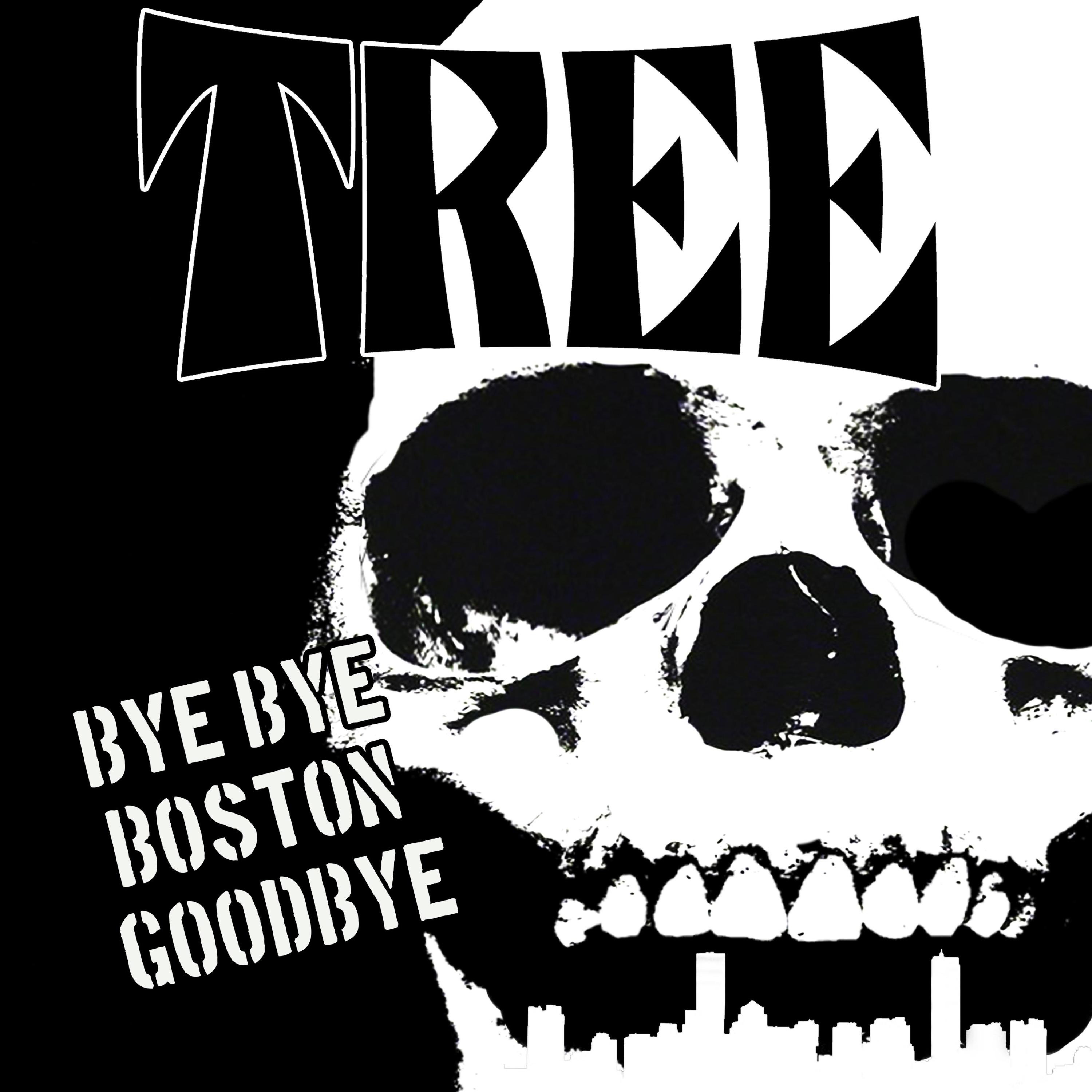 Bye Bye Boston Goodbye - Single