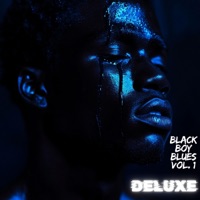 Black Boy Blues, Vol. 1 (Deluxe Edition) - Jamey Williams
