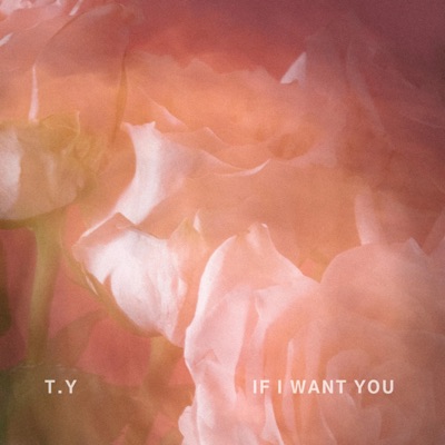 If I Want You - Single