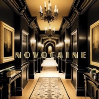 Novocaine (feat. Ace Wild) - Single - Halez Nation