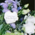 Violet Vines