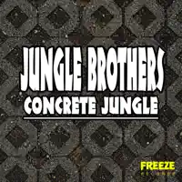 Make The Party Rock — Jungle Brothers