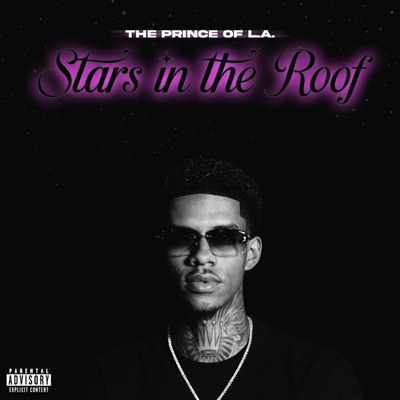 Stars in the Roof - Single