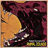 RABIS SYMPTOMS - Animal Zounds
