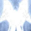 ItsLucid - fallen feathers