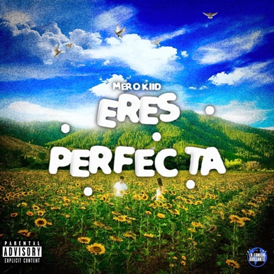 Eres Perfecta - Single