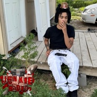 geico (twovrt) (feat. Jugnino & Partially Prescribed) - Single - Junkie Radio