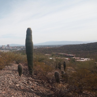 This One's 4 U (feat. Teknik) - Single