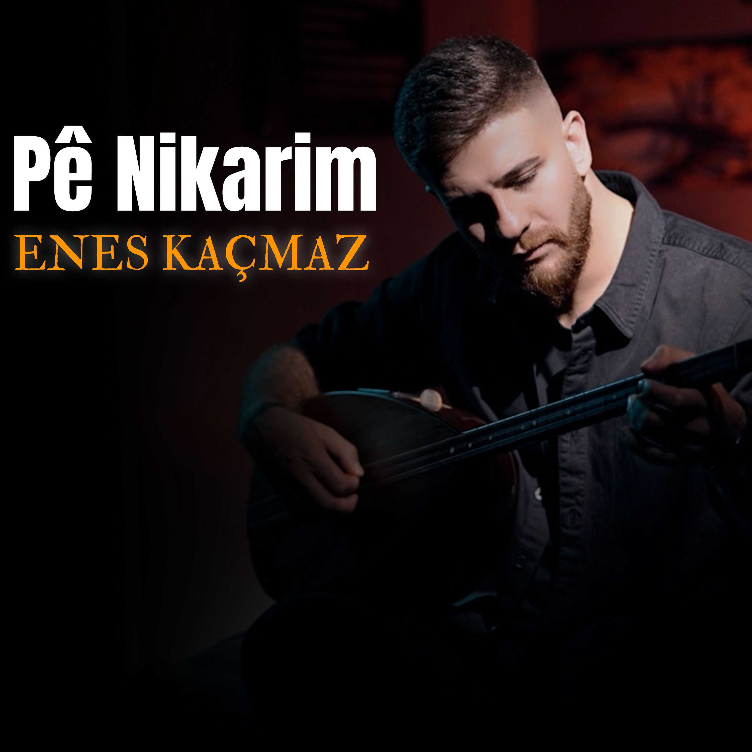 Pê Nikarim - Single