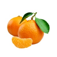 Impilo (Nariki) (feat. Percy5, Sgari S.A, Smosh SA & Sta Sonic TSK) - Single - Justine Juss Tii