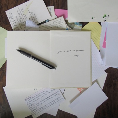 You waste no season - Single