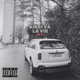 AINSI VA LA VIE Nelio