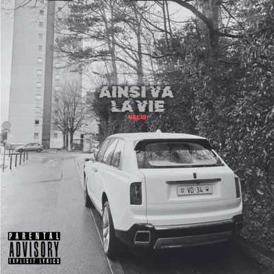 AINSI VA LA VIE - Single