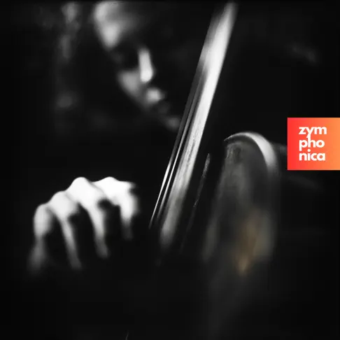 洋楽 Streamlined Buenos Aires 2009 sea-machine-v3-super-chorus-hd